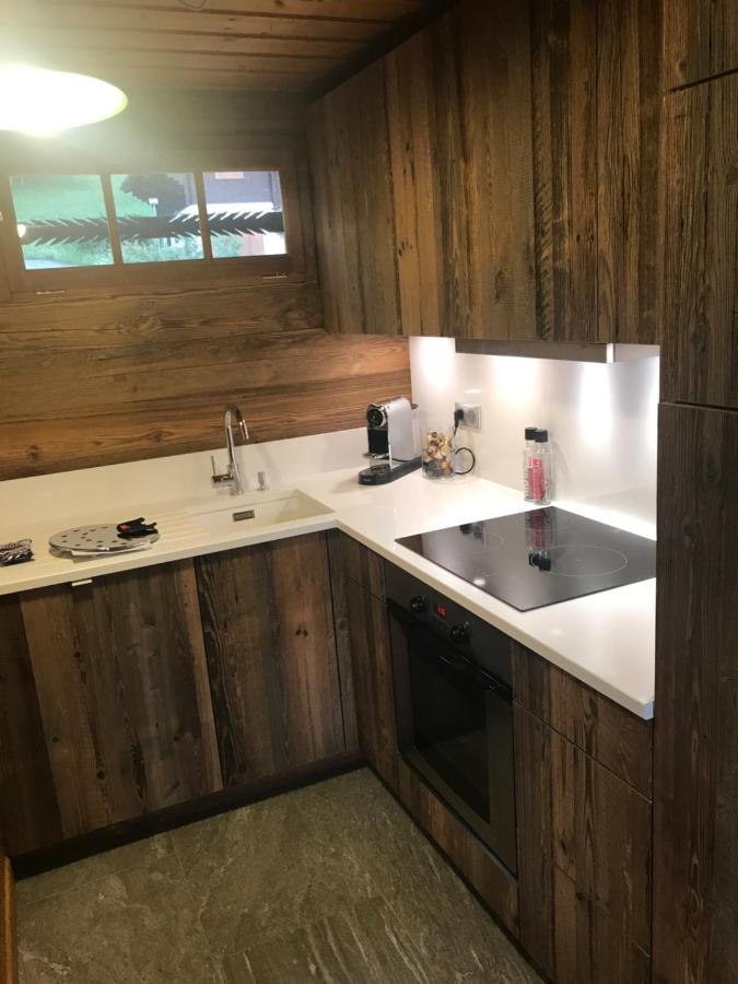 Chalet Les Marmottes Saint-Jean-de-Sixt Kültér fotó