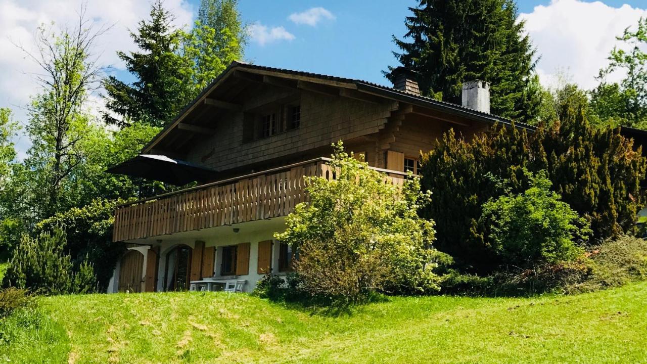 Chalet Les Marmottes Saint-Jean-de-Sixt Kültér fotó