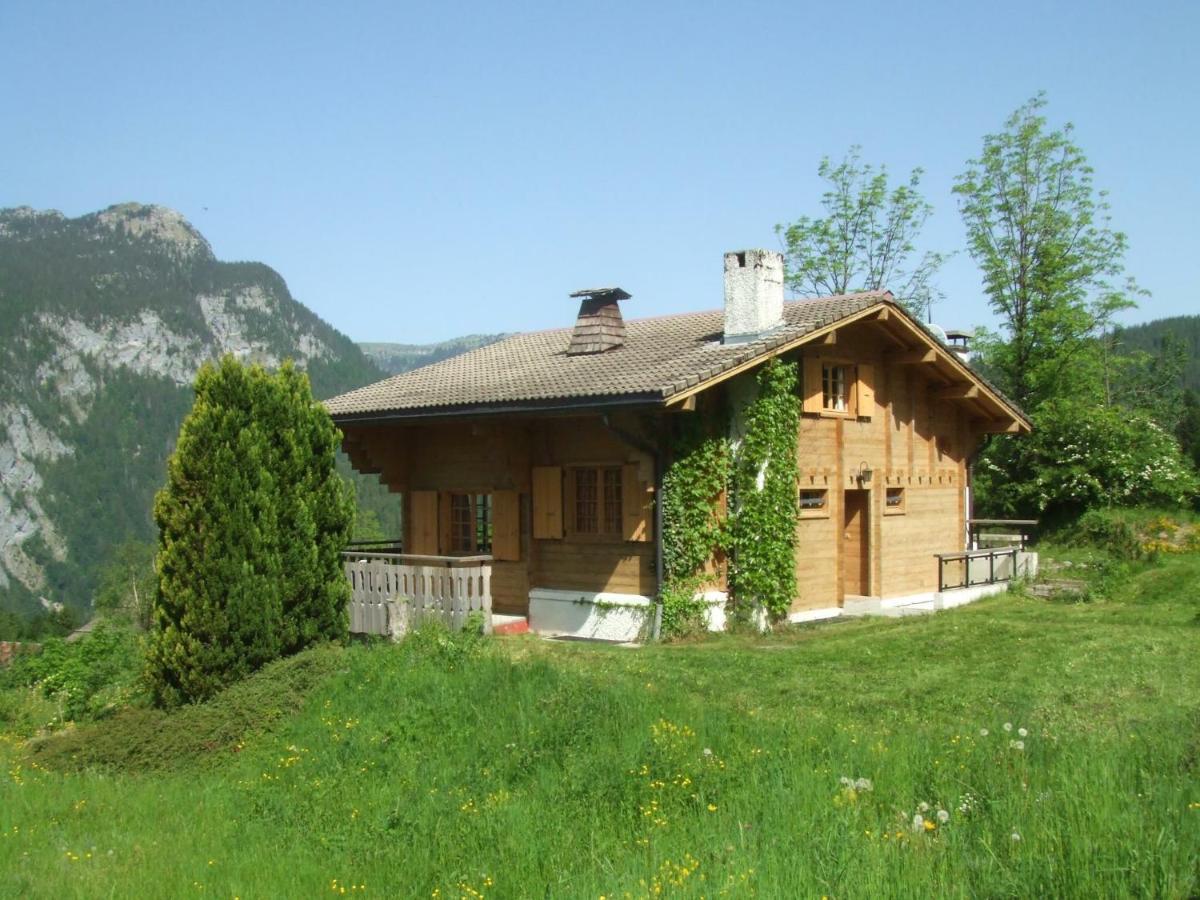 Chalet Les Marmottes Saint-Jean-de-Sixt Kültér fotó