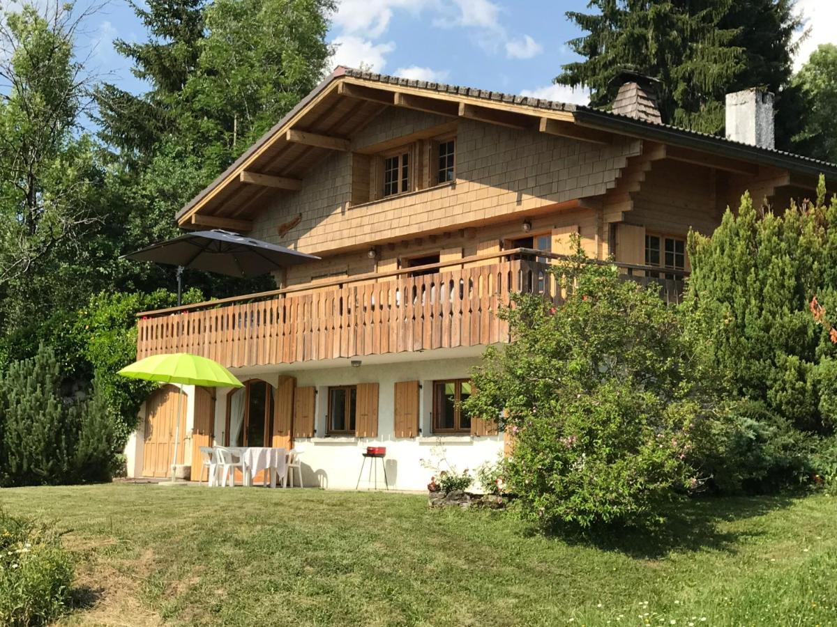 Chalet Les Marmottes Saint-Jean-de-Sixt Kültér fotó
