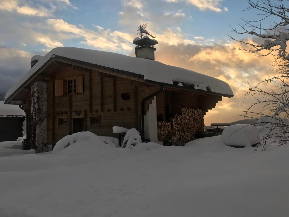 Chalet Les Marmottes Saint-Jean-de-Sixt Kültér fotó