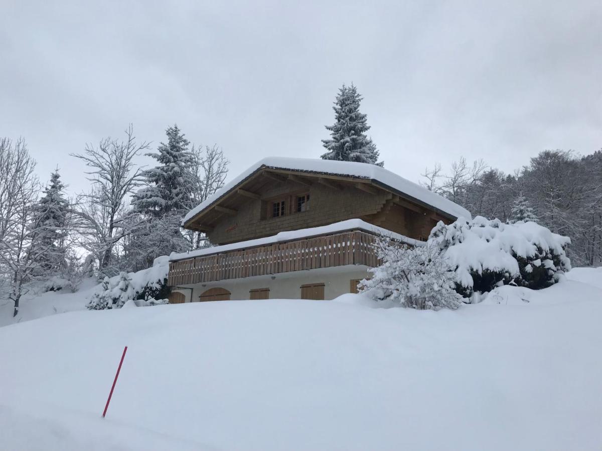Chalet Les Marmottes Saint-Jean-de-Sixt Kültér fotó