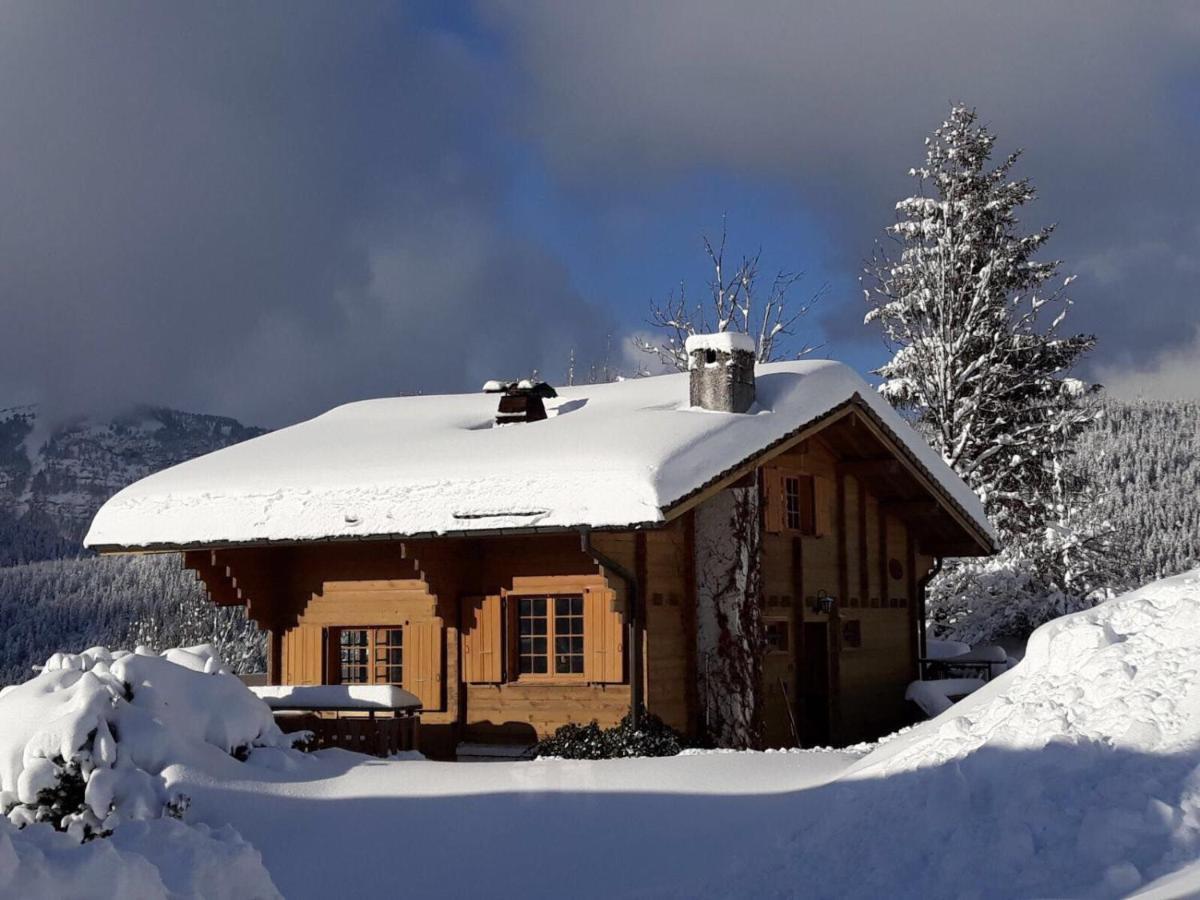 Chalet Les Marmottes Saint-Jean-de-Sixt Kültér fotó
